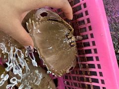 -众味海鲜大排档·活海鲜·潮汕味(南澳店)