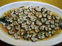 -呼吸森林·生态农庄农家乐私房菜