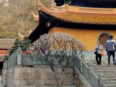 -普陀山风景名胜区-法雨禅寺