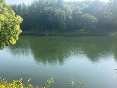 -尚贤河湿地