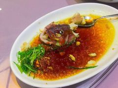 -常州环球恐龙城维景国际大酒店