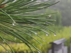 -天毓山庄·餐厅