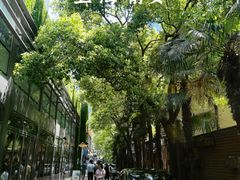 -静安公园(静安寺街道)