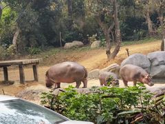 -兰剑驾校(汉阳校区)