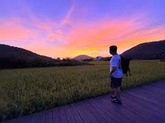 -风云岭森林公园