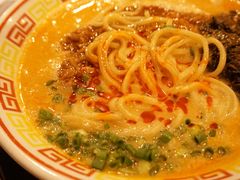 限定担担面-博多舍楽(金利来店)