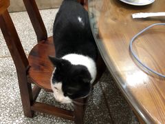 -骆马湖酒家(窑湾新区店)