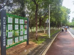 -凤岗南门山森林公园