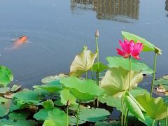 -西海子公园
