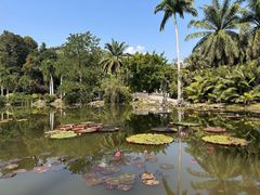 -中国科学院西双版纳热带植物园