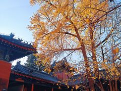 -承恩寺