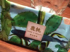 -大树餐厅(益田假日店)