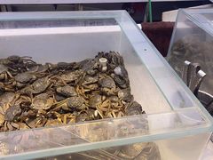 -集品鲜湾·蒸汽海鲜自助料理(青岛银座和谐广场店)