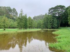 -番禺大夫山森林公园