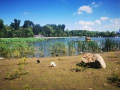 -长春市南湖公园