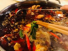 -蜀滋香鲜鱼美蛙火锅(339店)