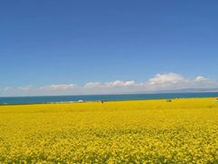 -青海湖国家重点风景名胜区