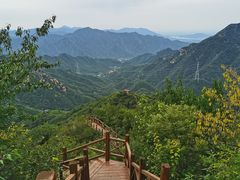 -大岭沟猕猴桃谷风景区