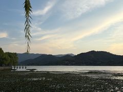 -鸣鹤古镇