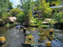 -湘力力小院·鱼汤泡饭(枫林路店)