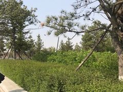 -北镇庙