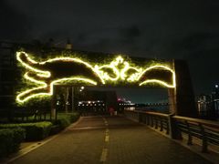 -深圳湾公园-停车场