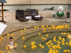 -苏州湾·王焰温泉