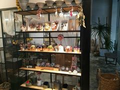 -植物学家的女儿(北马道巷店)