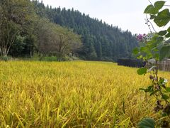 -常德桃花源景区