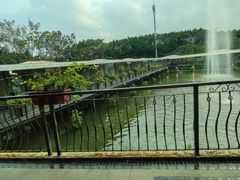 -小洲村