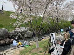 -羊山湖公园