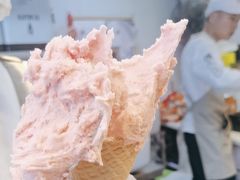 -野人牧坊Gelato(天津南开大悦城店)