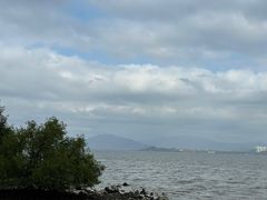 -深圳湾公园(南山区)