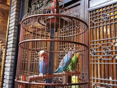 -鱼桥巷·美学川菜