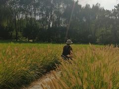 -北坞公园