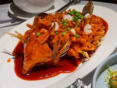 松鼠桂鱼-玫瑰厅上海菜(兴国路店)