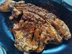 金鳟-京北渔家傲