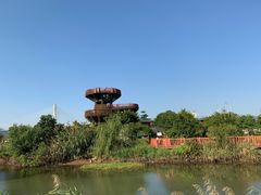 -芒洲湿地公园