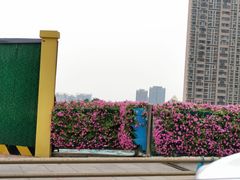 -迪卡侬(燕山店)