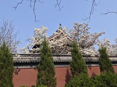 -钱王祠
