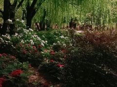-洛阳市隋唐城遗址植物园