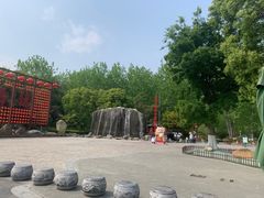 -合肥滨湖国家森林公园