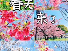 -大宁公园