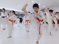 -极真空手道修远道场