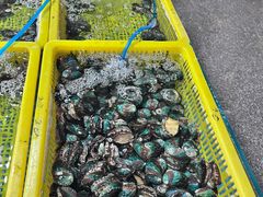 -石塘路海鲜市场(草厂中路店)