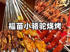 -福苗小骆驼烧烤(莲湖路店)