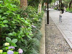 -吴山景区