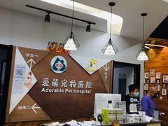 -美联众合宠物医院·爱萌分院·内外科·猫科中心