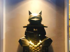 -飞行喵MR PILOT|猫舍·猫咖(静安大融城店)