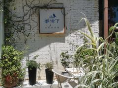 -春树下·树屋花房西餐厅(罍街AS1980店)